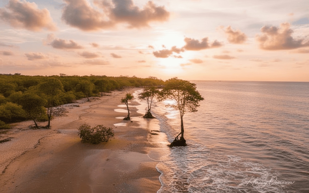 Nên theo dõi dự báo thủy triều hoặc hỏi người dân địa phương để chọn thời điểm nước rút đẹp nhất