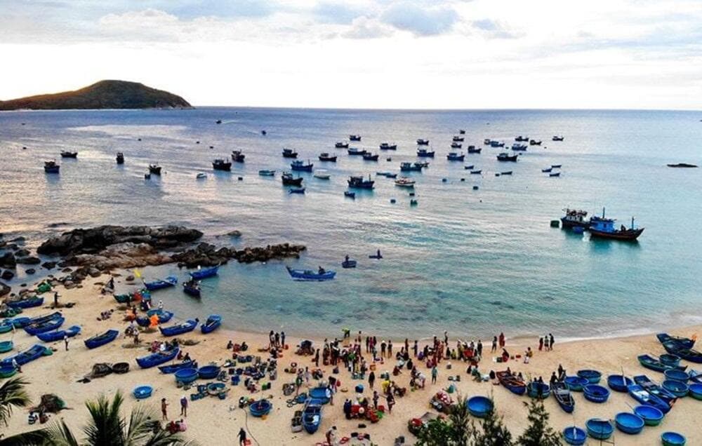 Một khoảnh khắc nguyên sơ giữa thiên nhiên Phú Yên