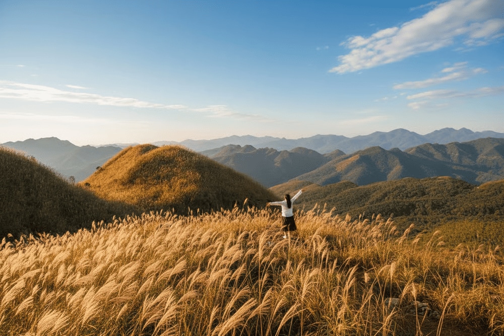 Đồi cỏ lau Đình Lập