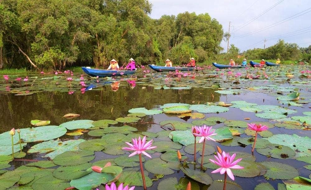 Du lịch làng nổi Tân Lập (Nguồn: Internet)