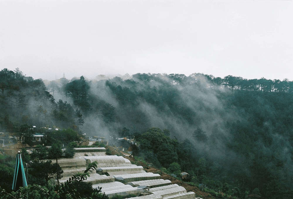Điểm đến lý tưởng cho những người yêu thích mây trời, tìm về sự yên bình nơi phố núi (Nguồn: Fanpage Tiệm cà phê Cheo veooo)
