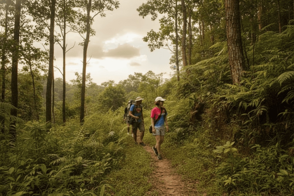 Đền Bà Chúa Thượng Ngàn
Đền Bà Chúa Thượng Ngàn là một địa điểm tâm linh nổi tiếng, thu hút du khách đến hành hương và cầu bình an. Đền tọa lạc trên đỉnh núi cao, giữa không gian thiên nhiên trong lành, mang lại cảm giác thanh tịnh và linh thiêng. Để đến được đền, du khách cần leo qua hàng trăm bậc thang, nhưng đổi lại là cảnh sắc tuyệt đẹp cùng không gian tâm linh đầy huyền bí.