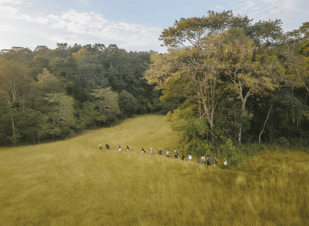 Trekking xuyên rừng tại Vườn Quốc gia Lò Gò - Xa Mát