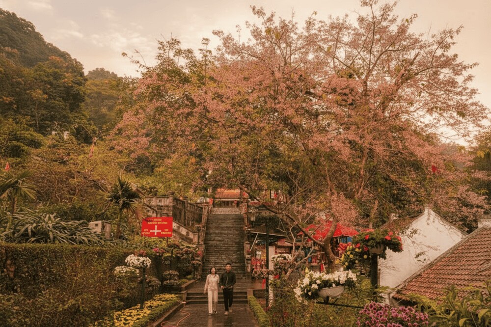 Tây Thiên mùa xuân ngập tràn trong sắc hoa