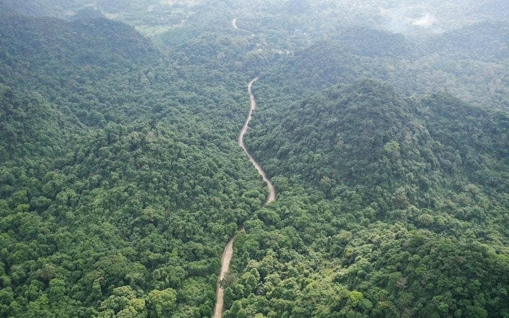 Cúc Phương là rừng nguyên sinh đầu tiên tại Việt Nam và đến nay vẫn giữ được vẻ hoang sơ nguyên vẹn