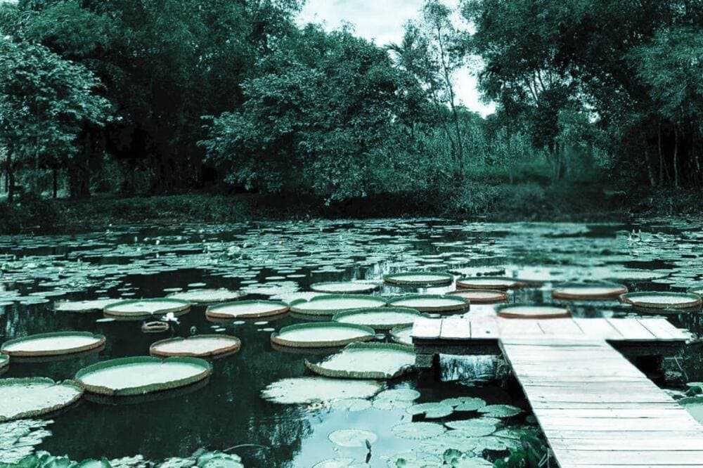 Trong hành trình khám phá, hướng dẫn viên sẽ chia sẻ kiến thức về hệ sinh thái, giúp bạn hiểu sâu hơn về tầm quan trọng của việc bảo vệ môi trường