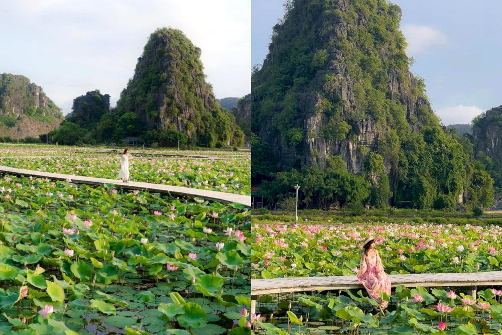 Tourists are capturing the serene beauty of the Lotus Pond 