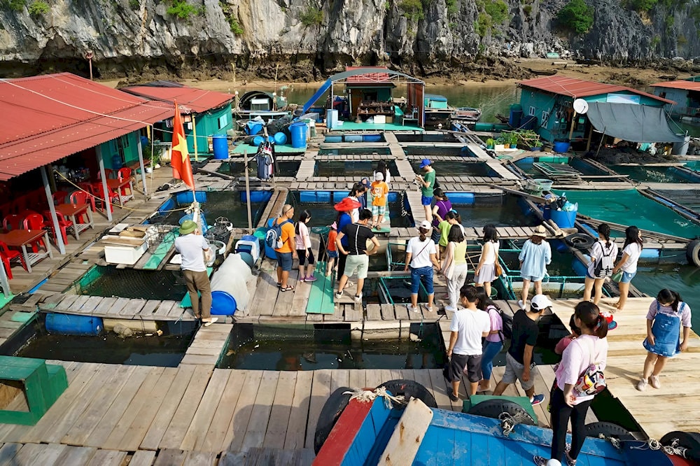 Visitors explore the floating fish farms 
