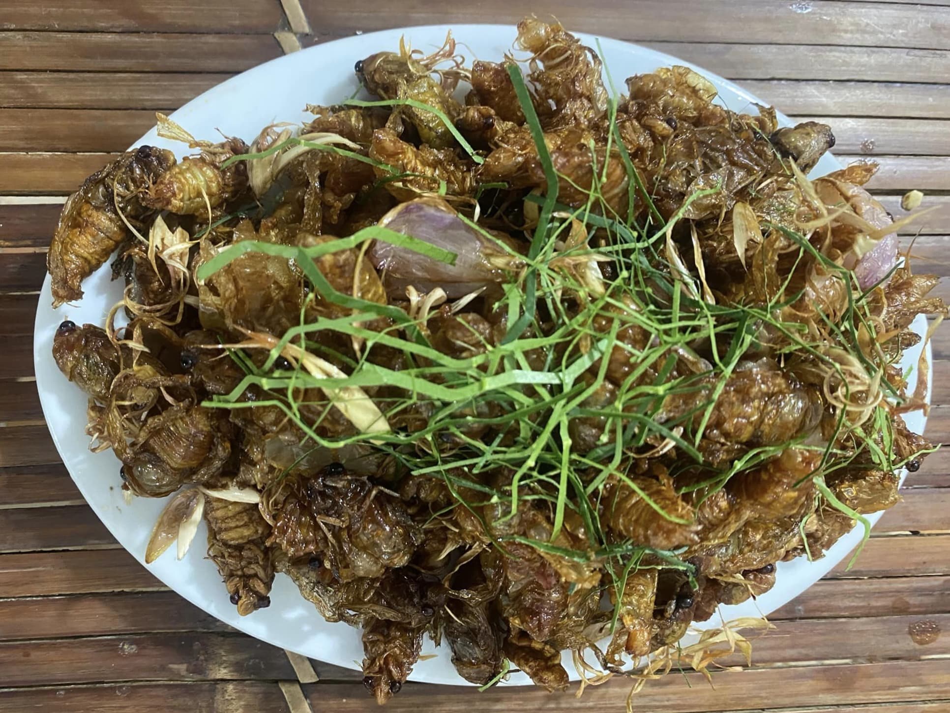 Ve sữa chiên giòn