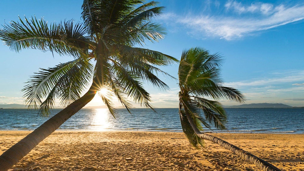 Ky Co Beach is renowned for its crystal-clear turquoise waters and pristine white sandy shores 