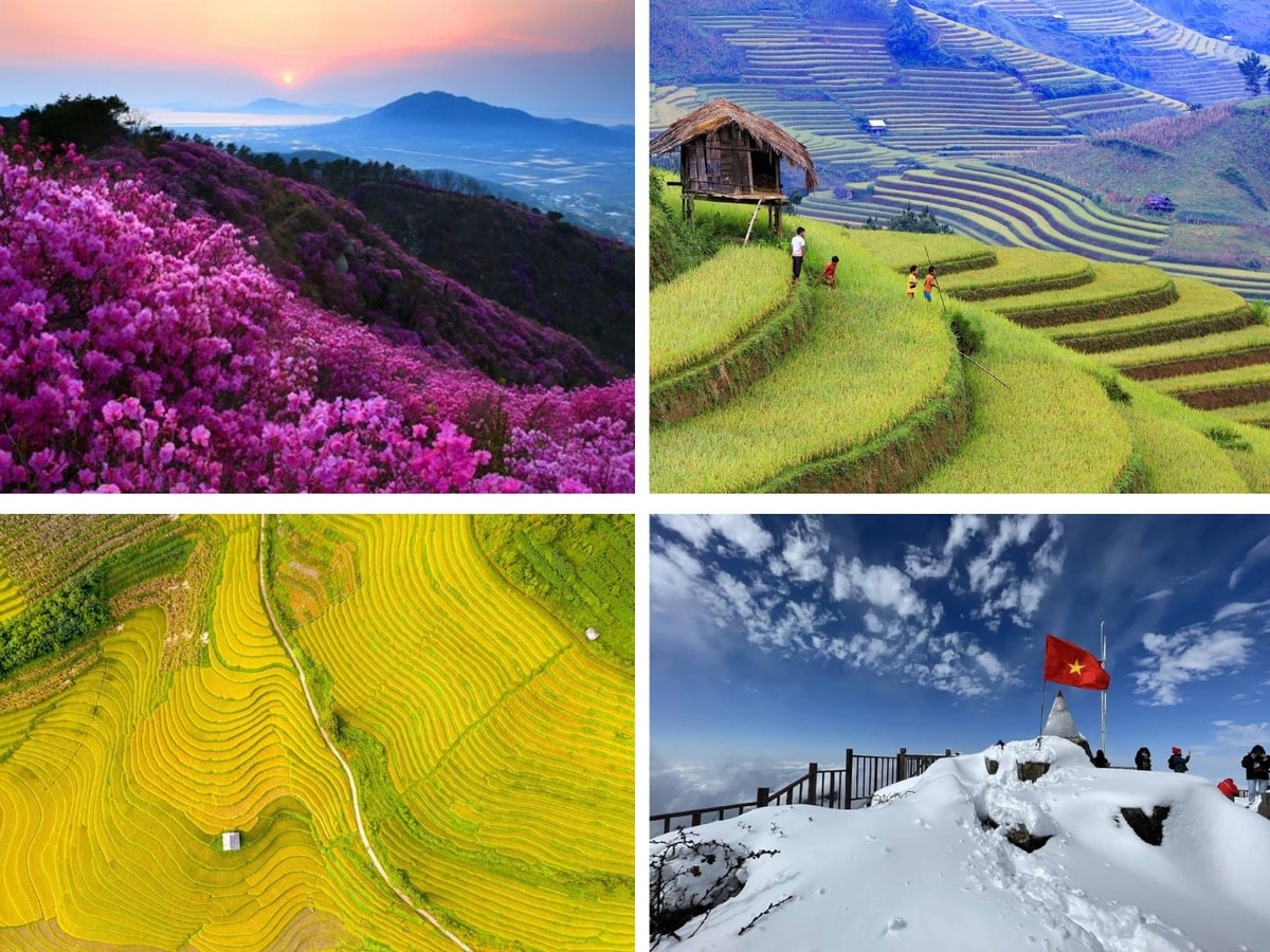 Sapa transforms with every season