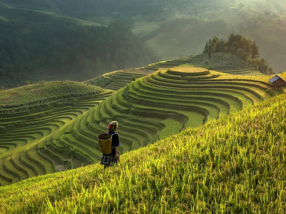 Walking across Muong Hoa Valley lets you soak in the breathtaking scenery