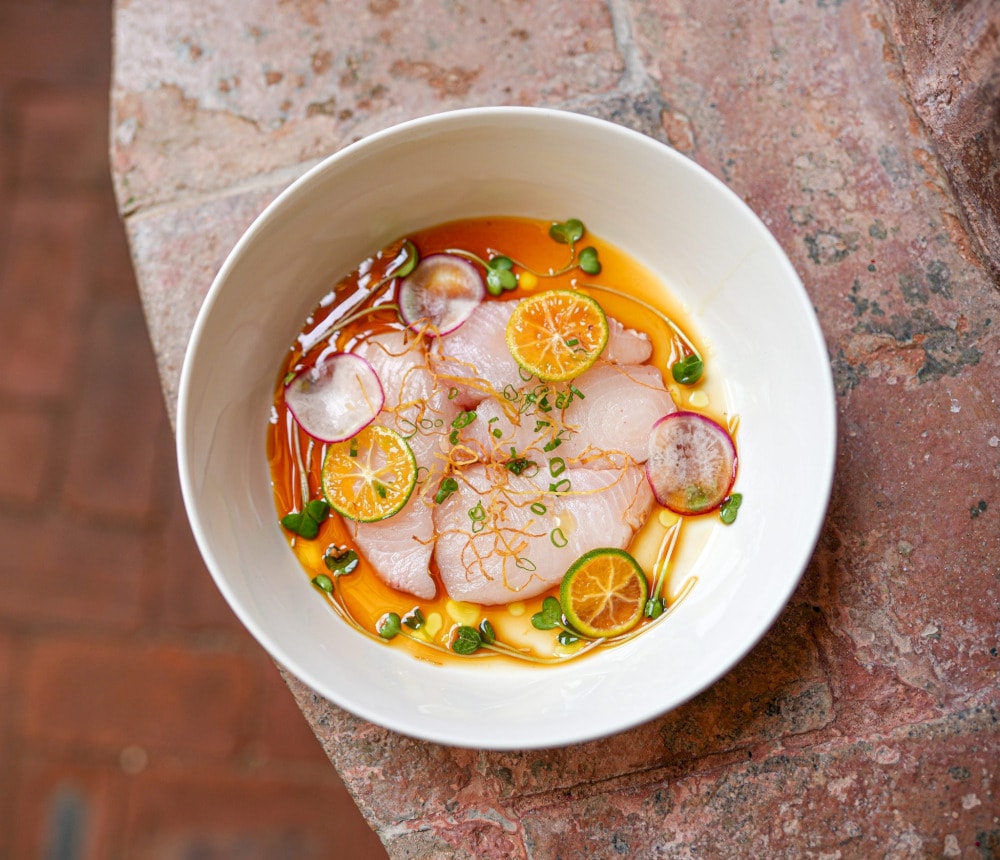 Hunt for Red Snapper