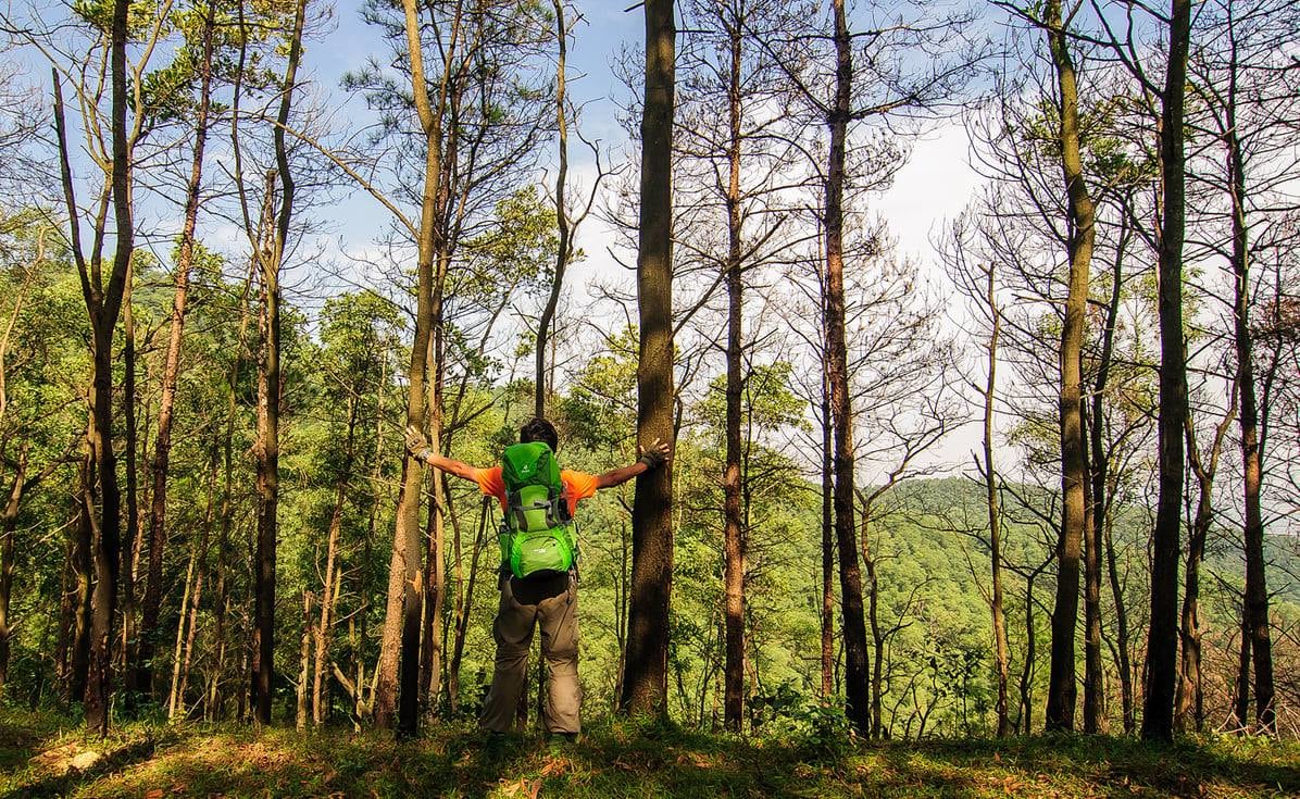 Du khách cũng có thể chọn trekking lên tới đỉnh núi 