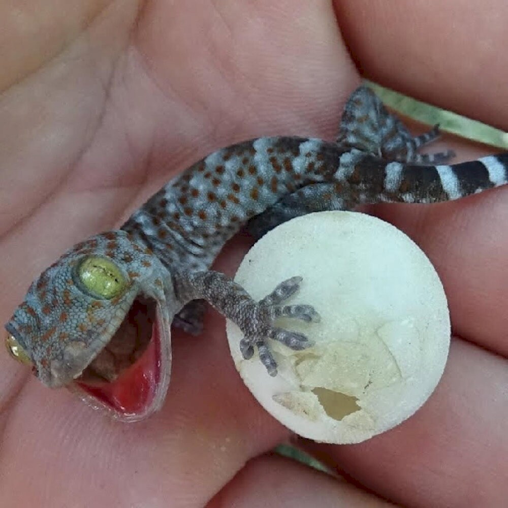 The mystical stories linked to the number 8 live on to this day