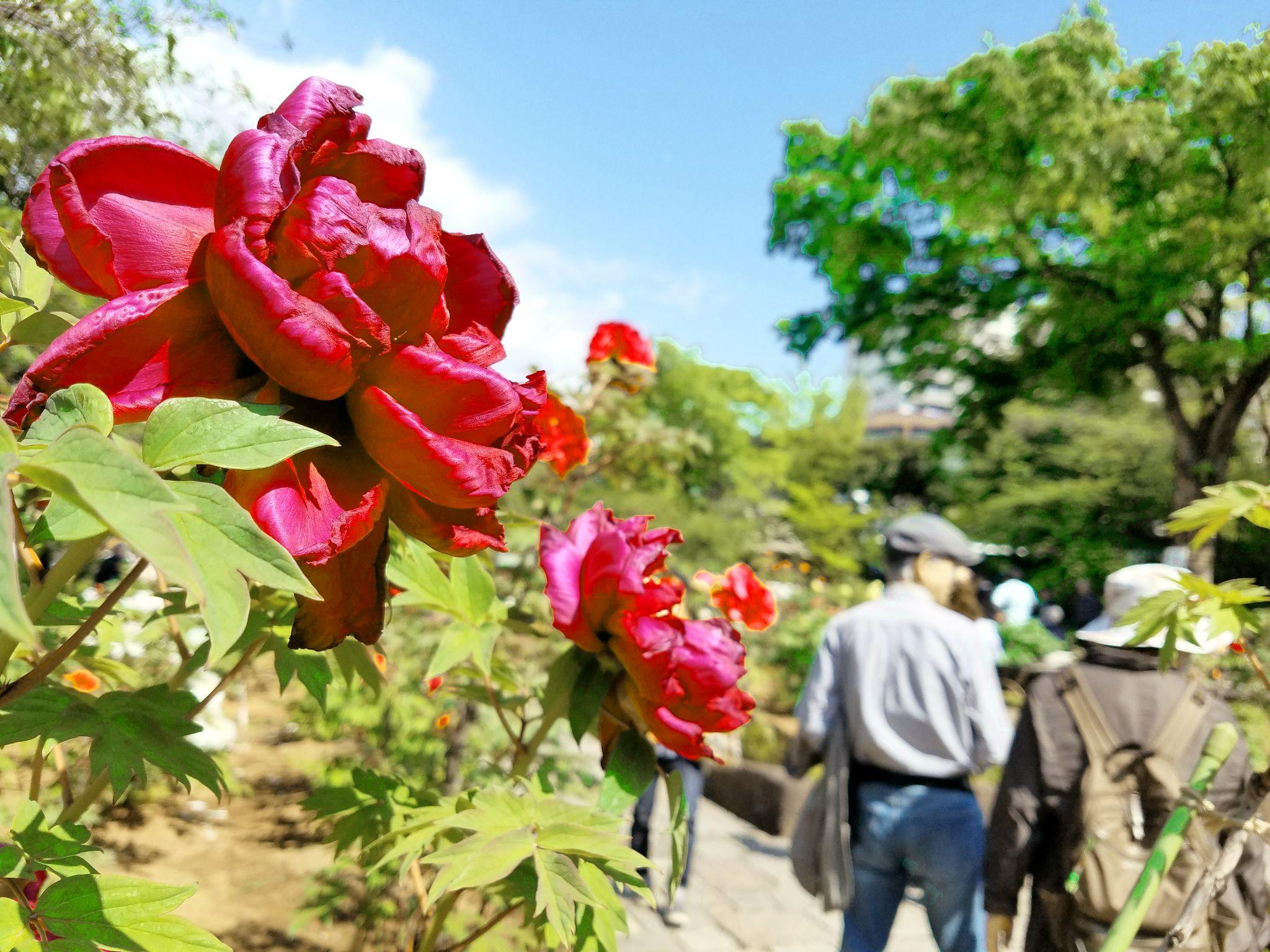 The city has become Vietnam's unofficial 