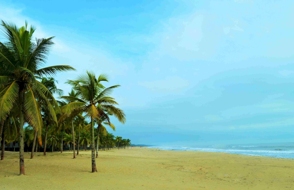 For a hassle-free experience, consider booking a private transfer or using ride-hailing apps