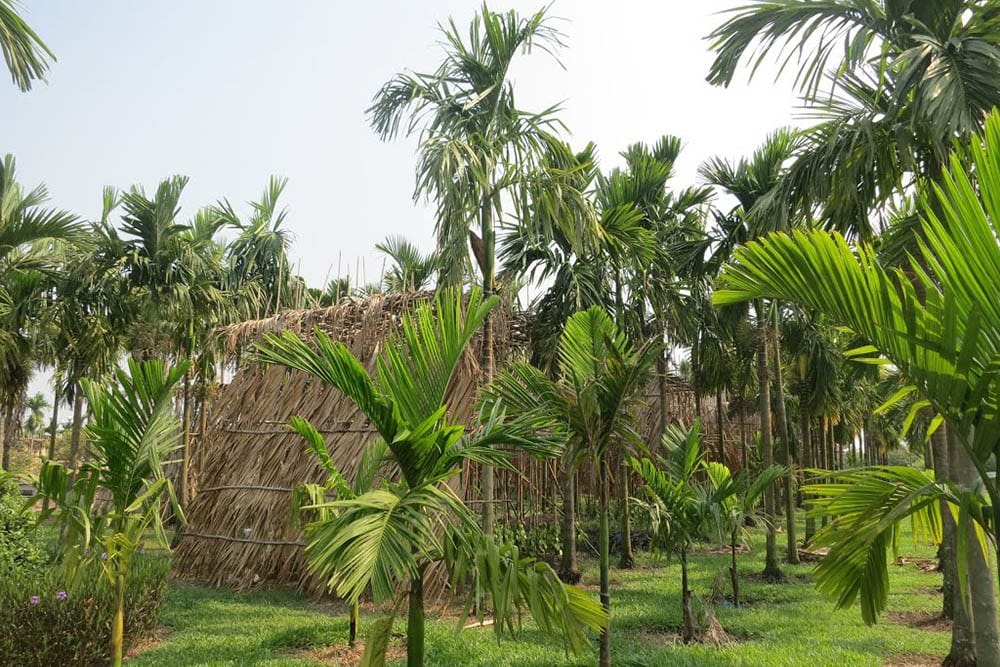 The area is also known for its community spirit and historical significance