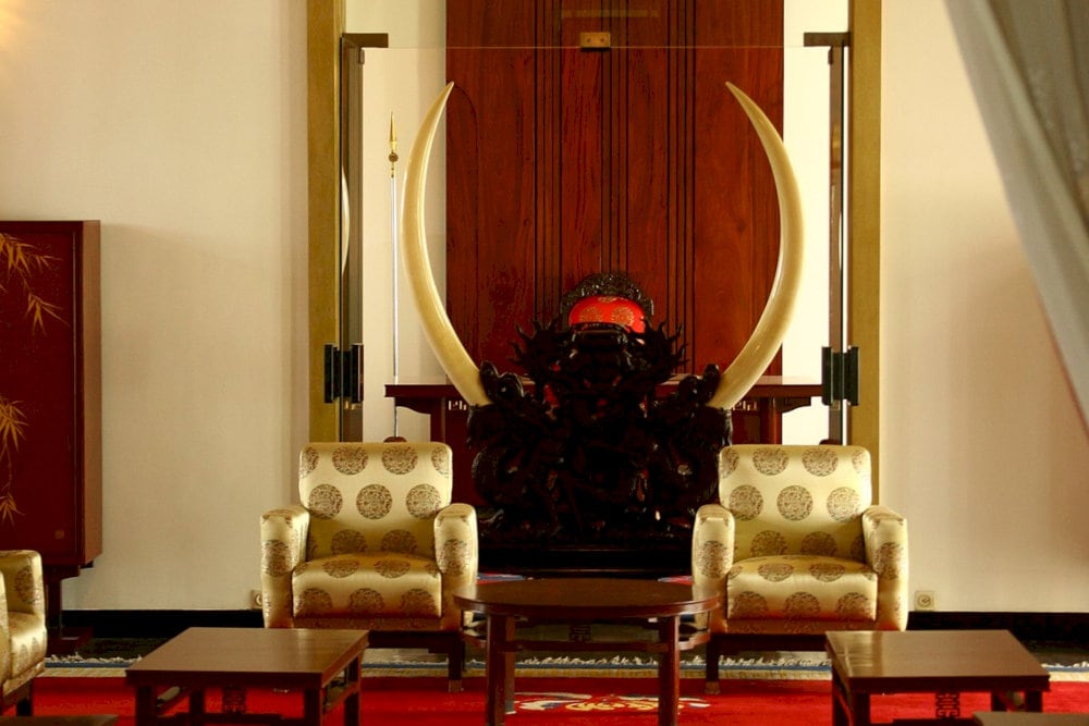 A pair of ivory tusks