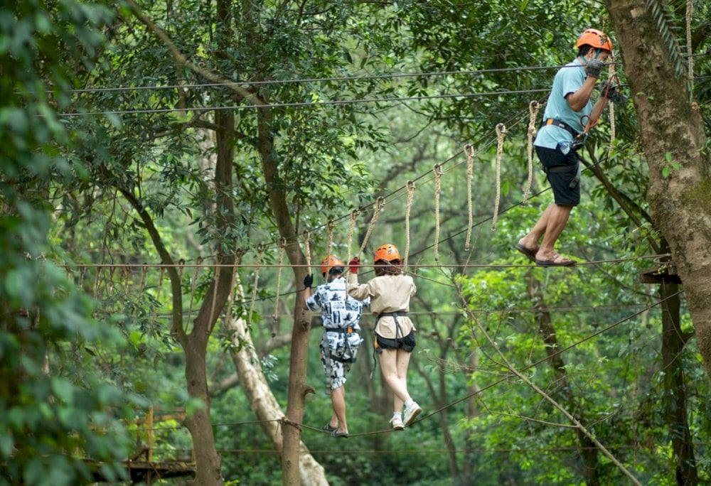 Visitors can explore native ecosystems via rope bridges, zipline routes, and guided forest path