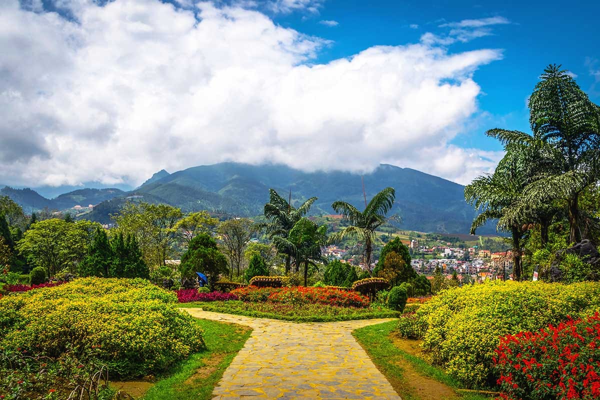 Ham Rong Mountain offers winding garden paths, panoramic viewpoints, and a dreamy escape into nature 
