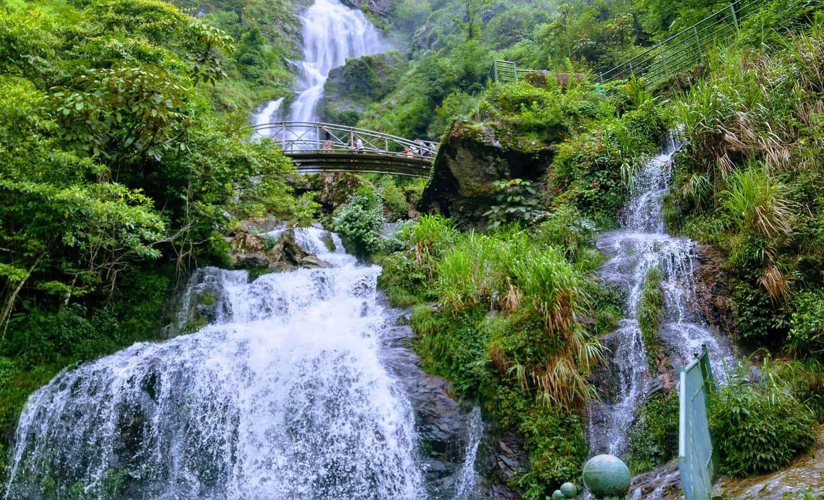 Silver Waterfall cascades from a height of over 200 meters, creating a breathtaking curtain of white water against the emerald hills