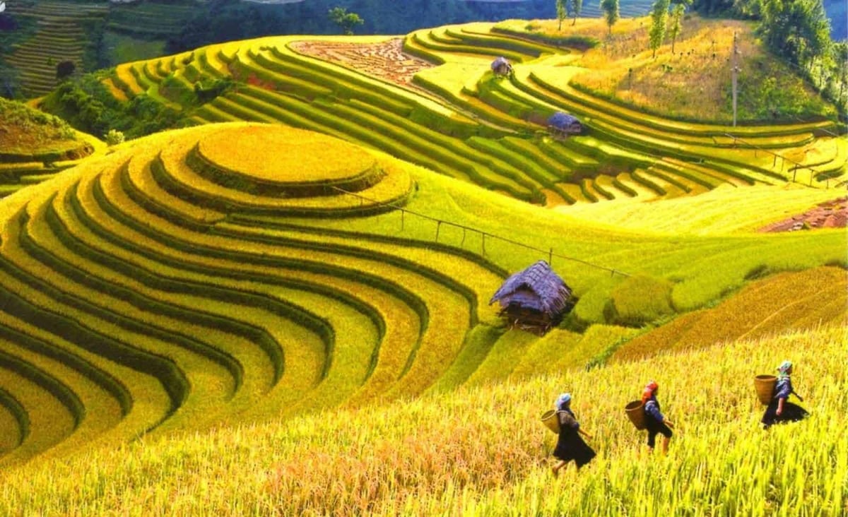 The village charms with its winding paths, traditional houses, and spectacular views of layered rice fields hugging the mountainside