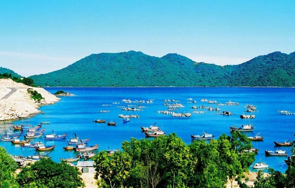 Biển Tuy Hòa mang vẻ đẹp mộc mạc, không xô bồ, là nơi lý tưởng để tìm lại sự cân bằng sau những ngày bộn bề