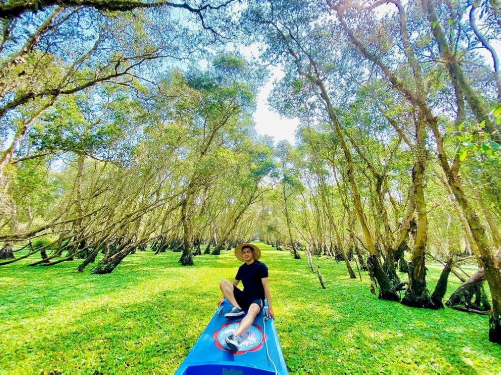 Hòa mình cùng thiên nhiên đầy thanh bình tại rừng tràm Trà Sư