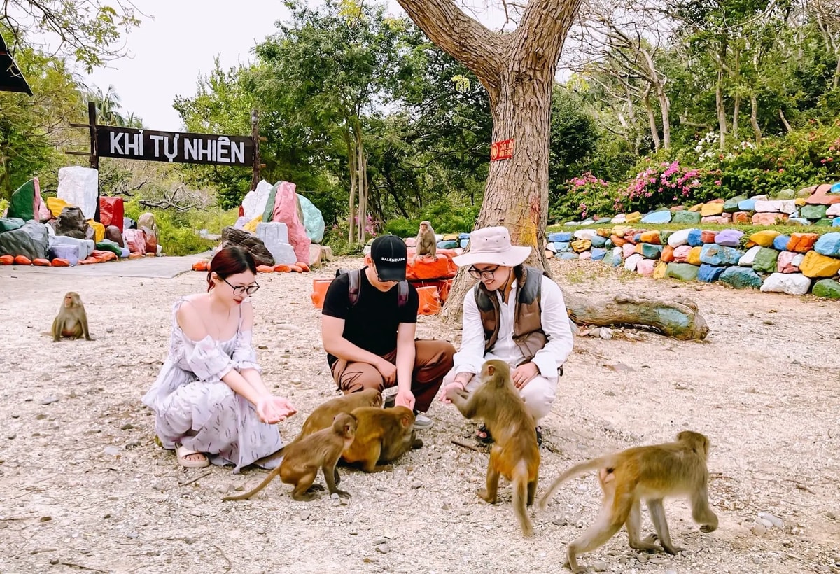 Những chú khỉ đáng yêu tại Đảo Khỉ 