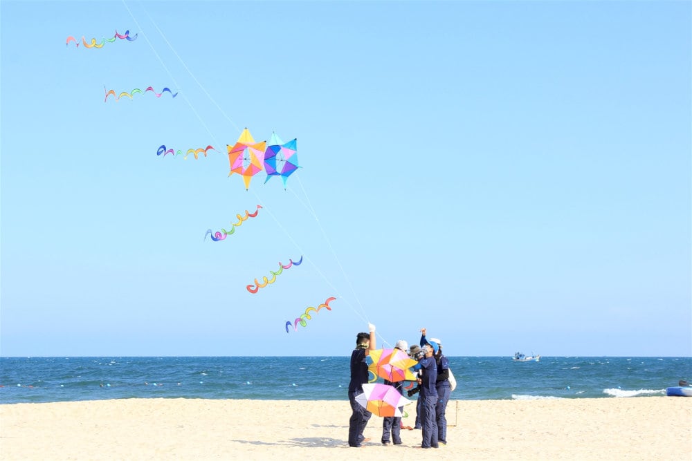 Tham gia thả diều ở biển Cửa Lò