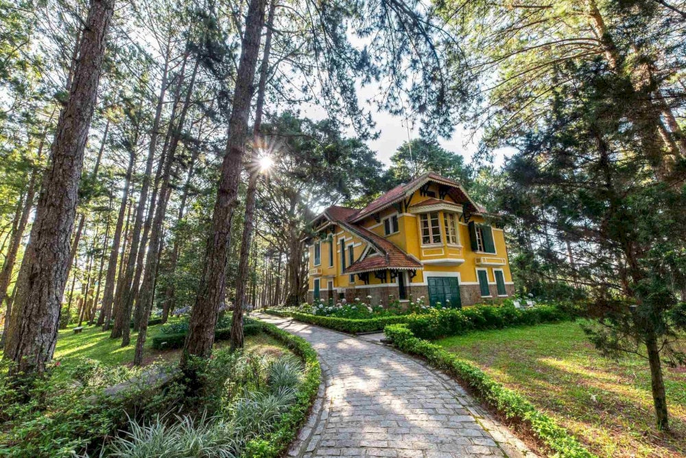 Rừng Thông Đà Lạt