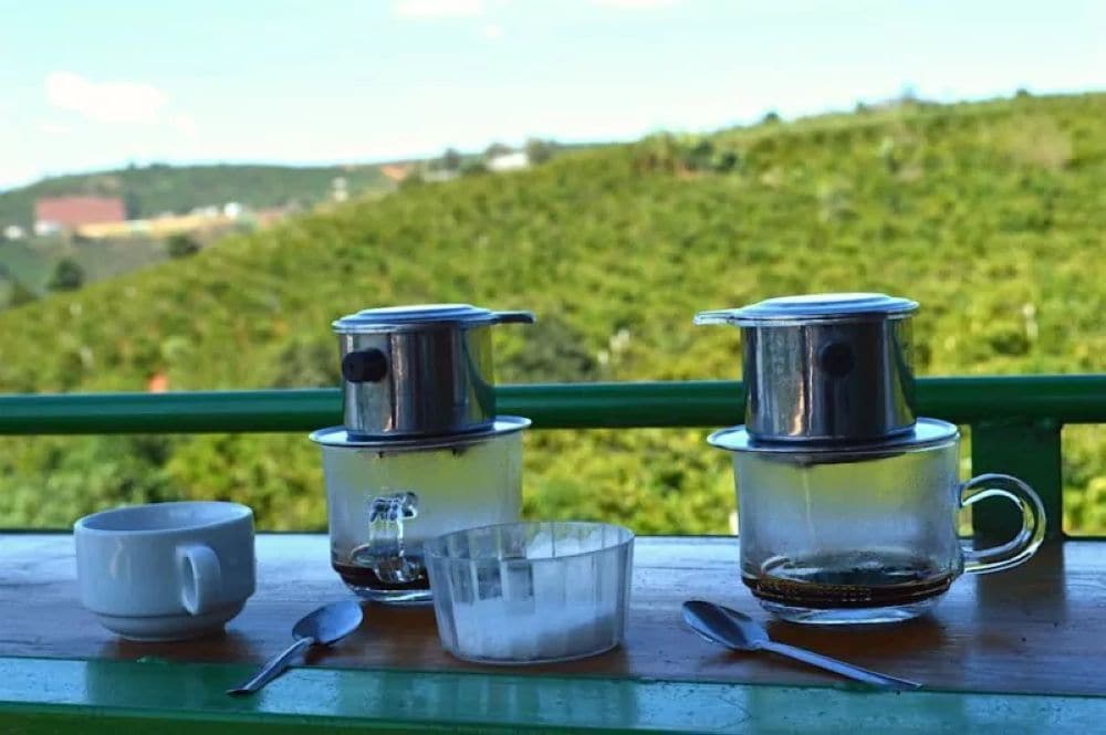 Được trồng trên đất đỏ bazan màu mỡ và khí hậu mát mẻ, cà phê Đà Lạt có hương vị thơm ngon, đắng dịu đặc trưng của vùng cao nguyên