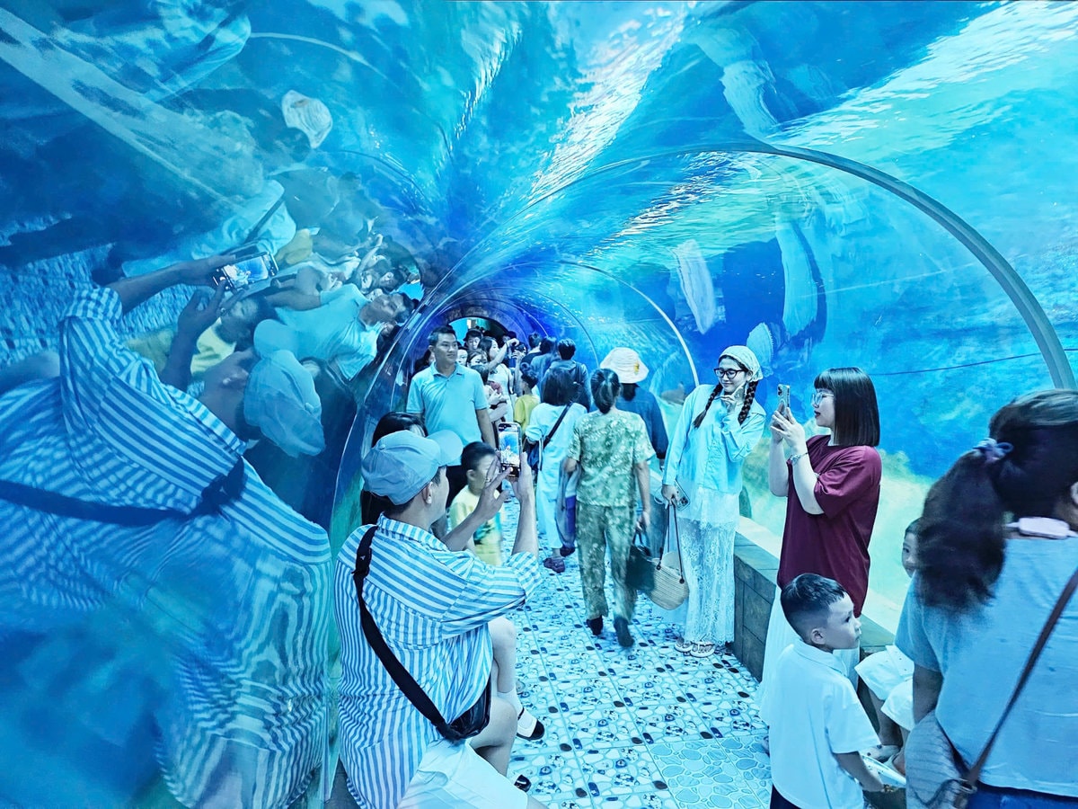 Viện Hải dương học là điểm đến tuyệt vời cho mọi lứa tuổi, đặc biệt là các em nhỏ