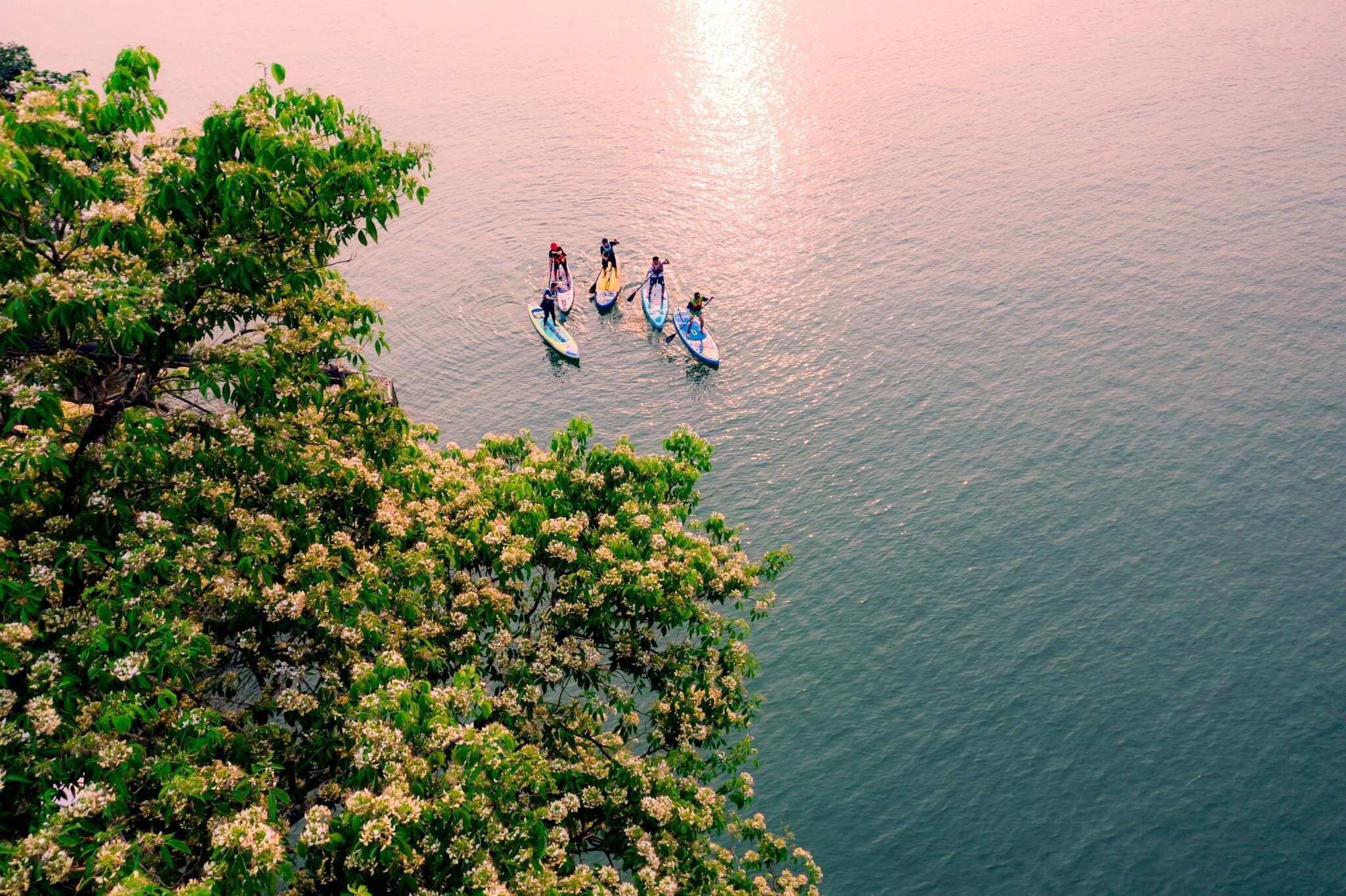 Chèo SUP trên sông 