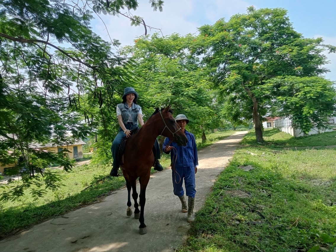 Trại ngựa Bá Vân