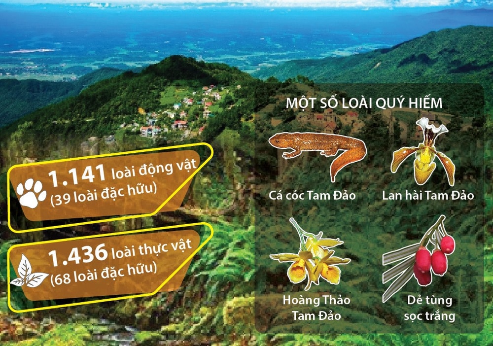 Vườn Quốc gia Tam Đảo sở hữu hệ động thực vật phong phú với nhiều loài quý hiếm