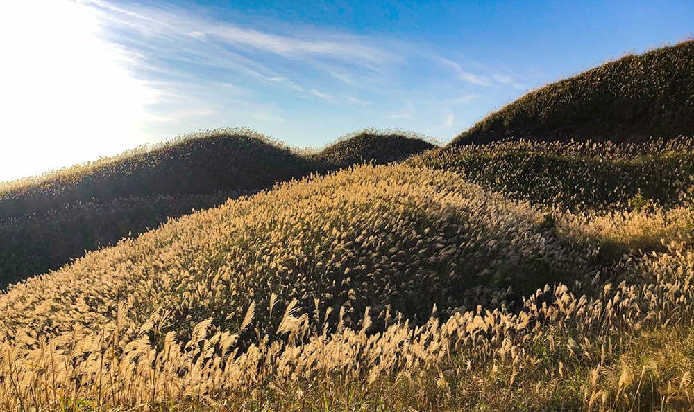 Binh Lieu mountains with full of reeds  
