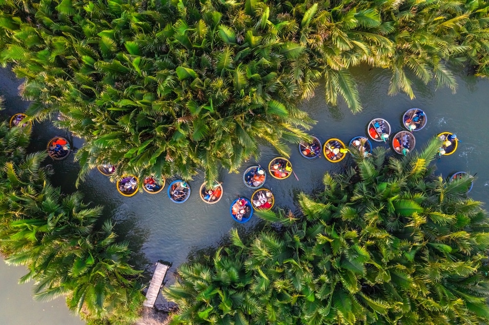 Cam Thanh coconut forest