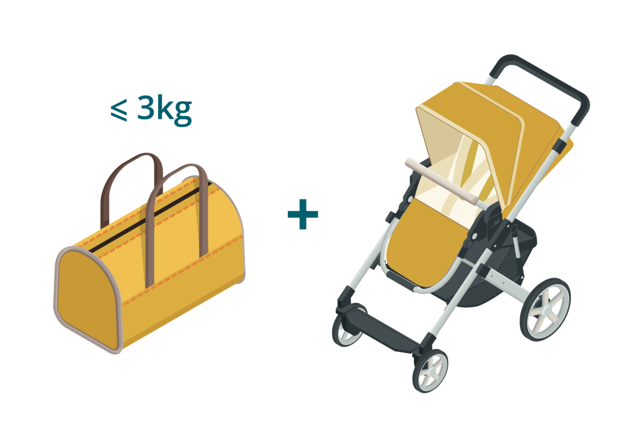 Hành lý xách tay cho trẻ em dưới 2 tuổi.