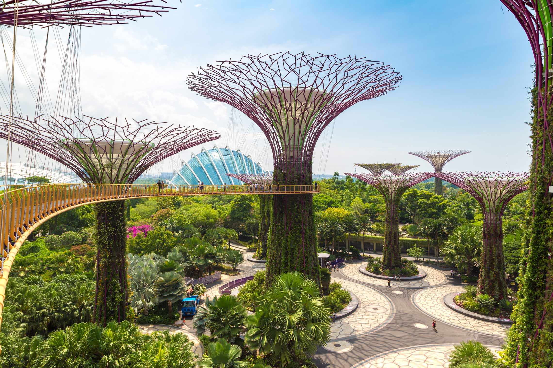 Supertree Grove and Skyway at Gardens by the Bay near Marina Bay Sands, a highlight of things to do in Singapore