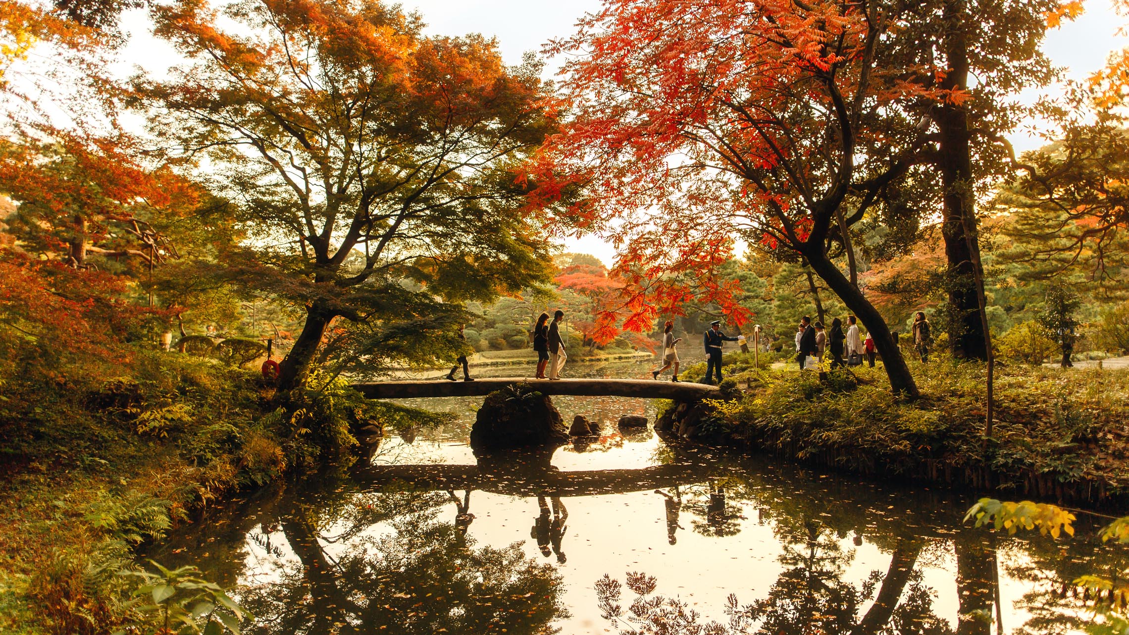 Tokyo park in autumn, showcasing vibrant seasonal scenery and one of the memorable things to do in Tokyo