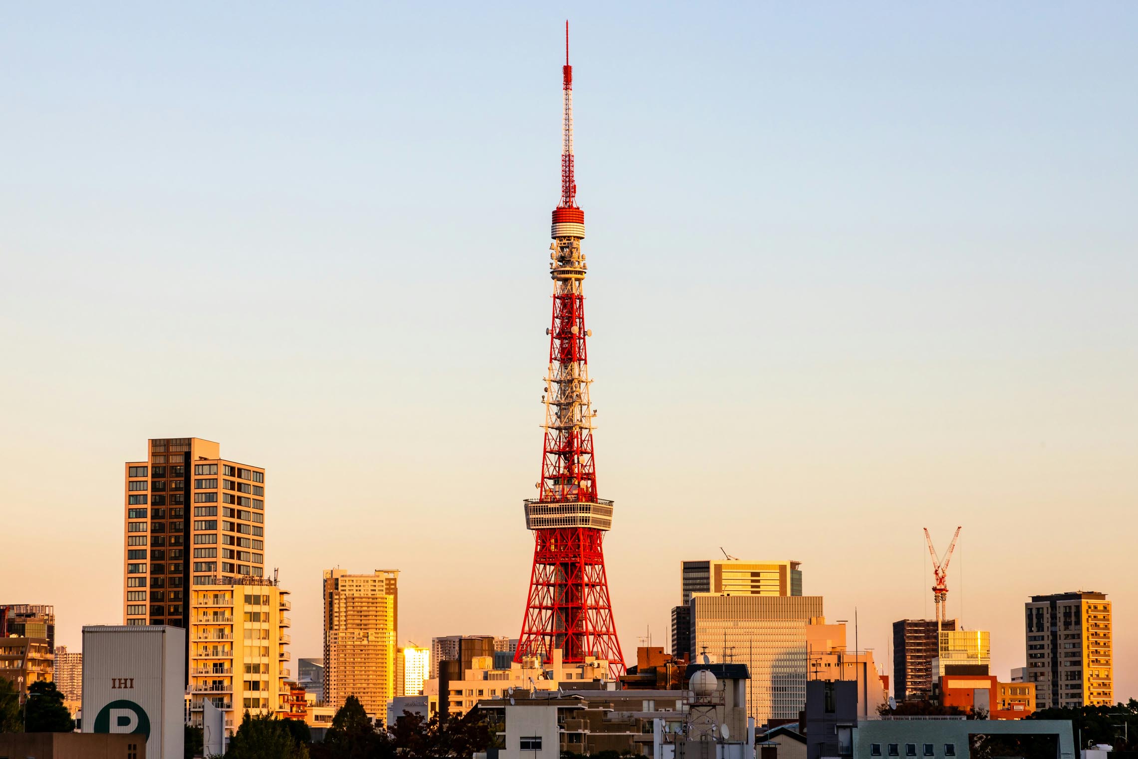 Toàn cảnh thành phố Tokyo nhìn từ tầng thượng của một khách sạn sang trọng