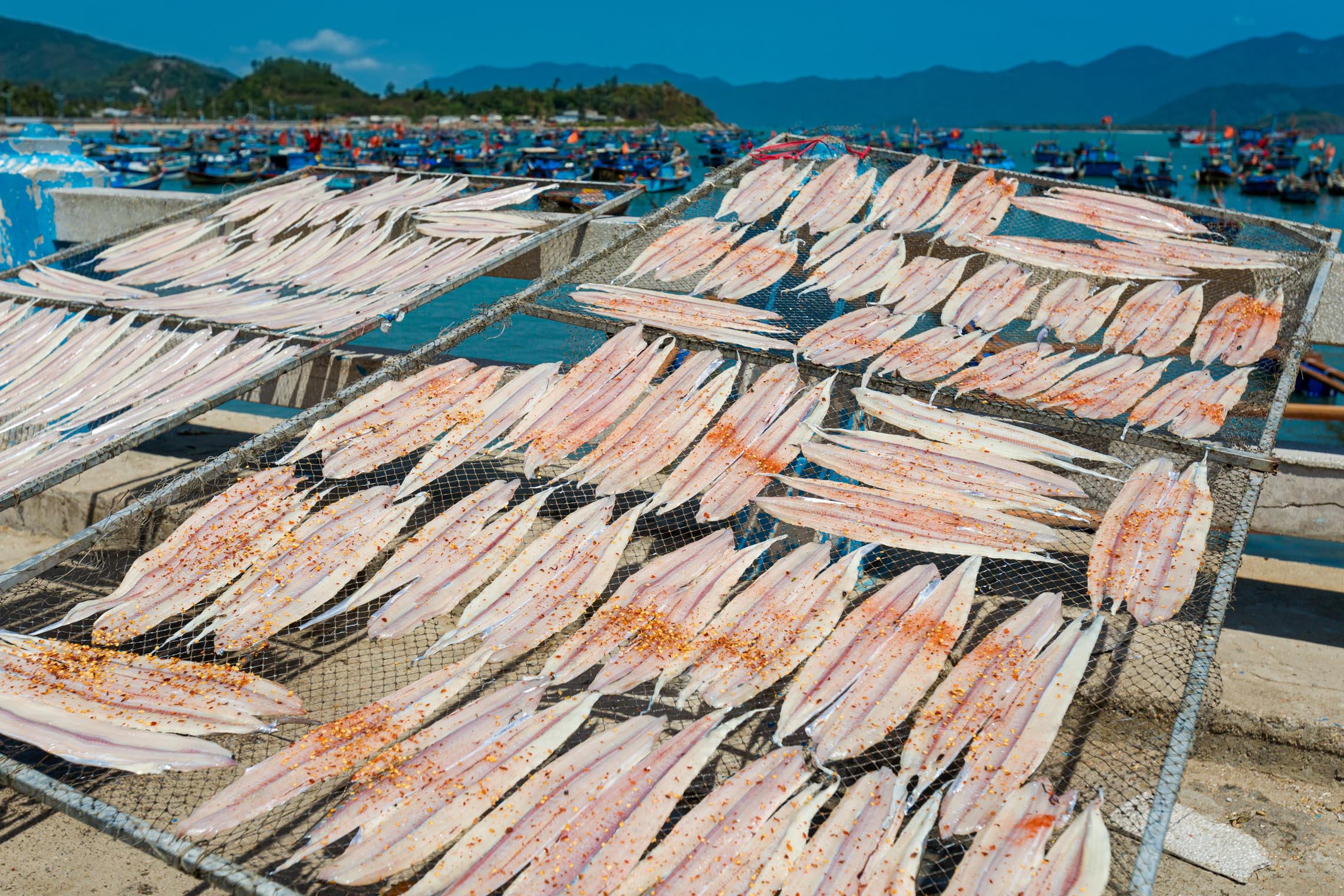 Traditional sun-dried fish in Nha Trang, a popular local product at Nha Trang night market