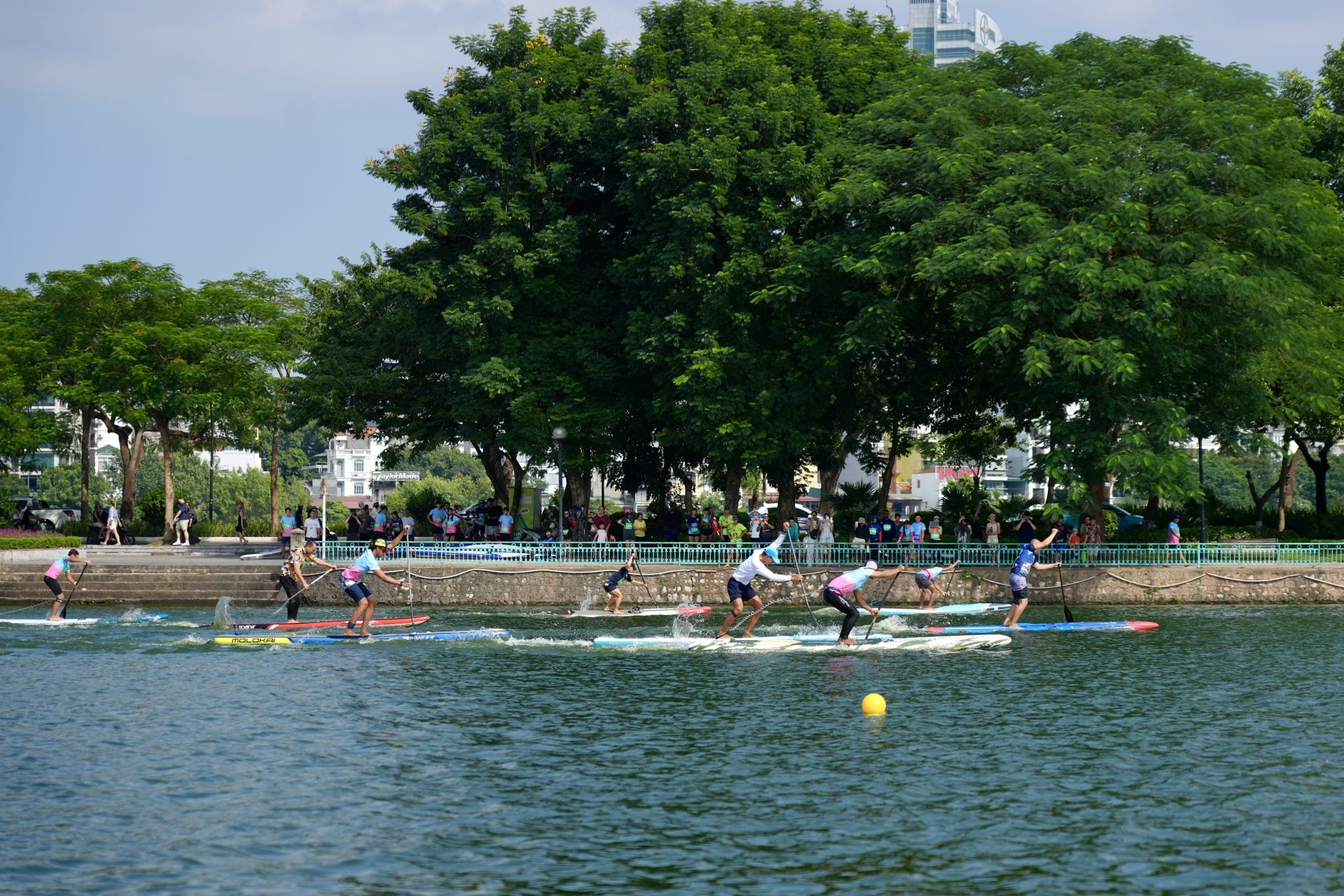 Giải Thuyền rồng 7.jpg