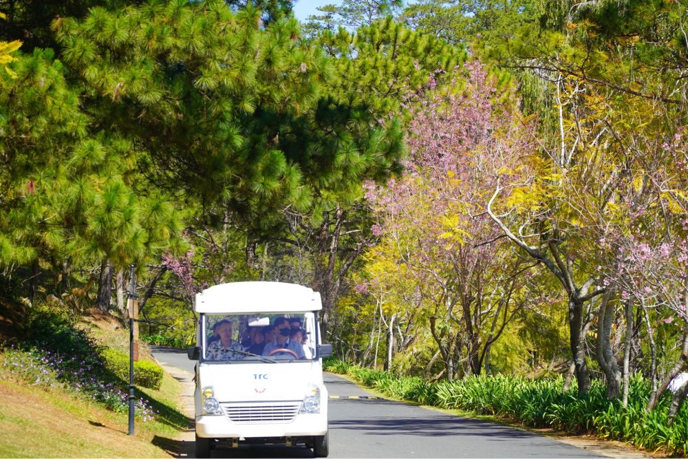 Cảnh quan rực rỡ của Thung lũng Tình Yêu vào mùa xuân với hoa anh đào Mùa xuân tại Thung lũng Tình Yêu ngập tràn trong sắc hồng mộng mơ của hoa anh đào