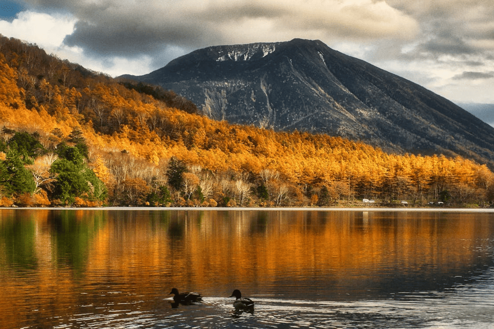 Top 10 Places to Visit in Japan – Recommended by Locals