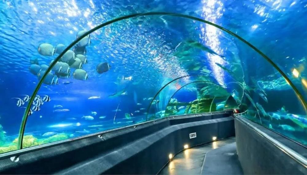 Top 30 địa điểm check-in Nha Trang cực đẹp, sống ảo triệu like 2025