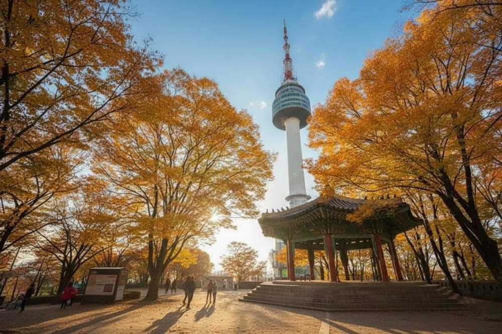 韓国地図：最も魅力的な観光地の旅行ガイド