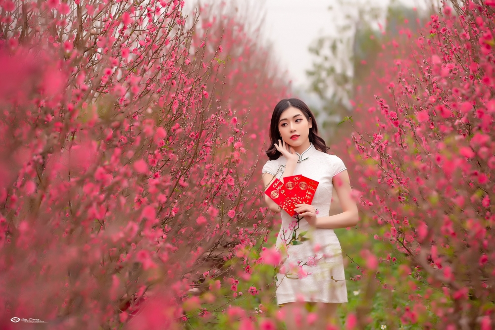 Vườn đào Nhật Tân thu hút nhiều bạn trẻ đến chụp ảnh mỗi dịp Tết Nguyên Đán